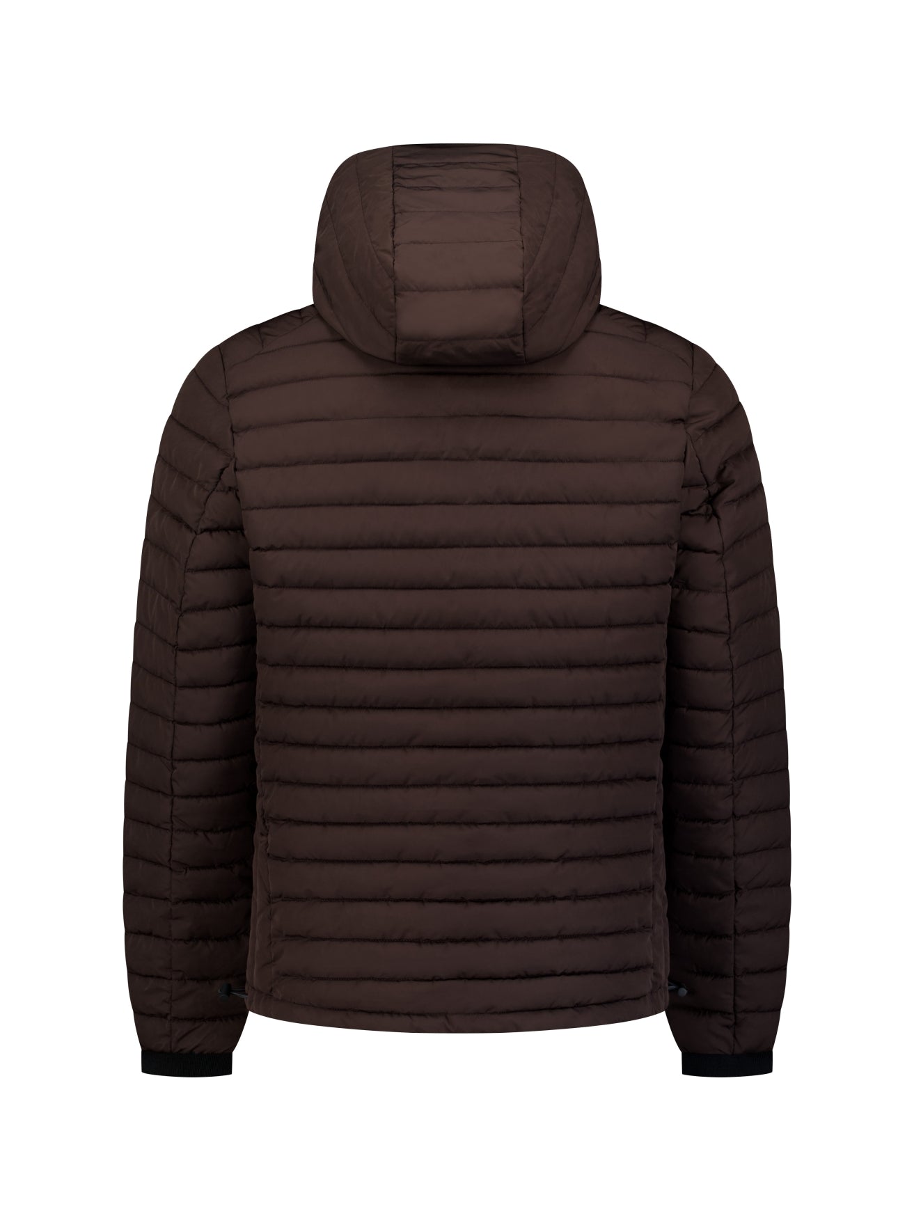 Gewatteerde Jas Met Capuchon | Dark Brown