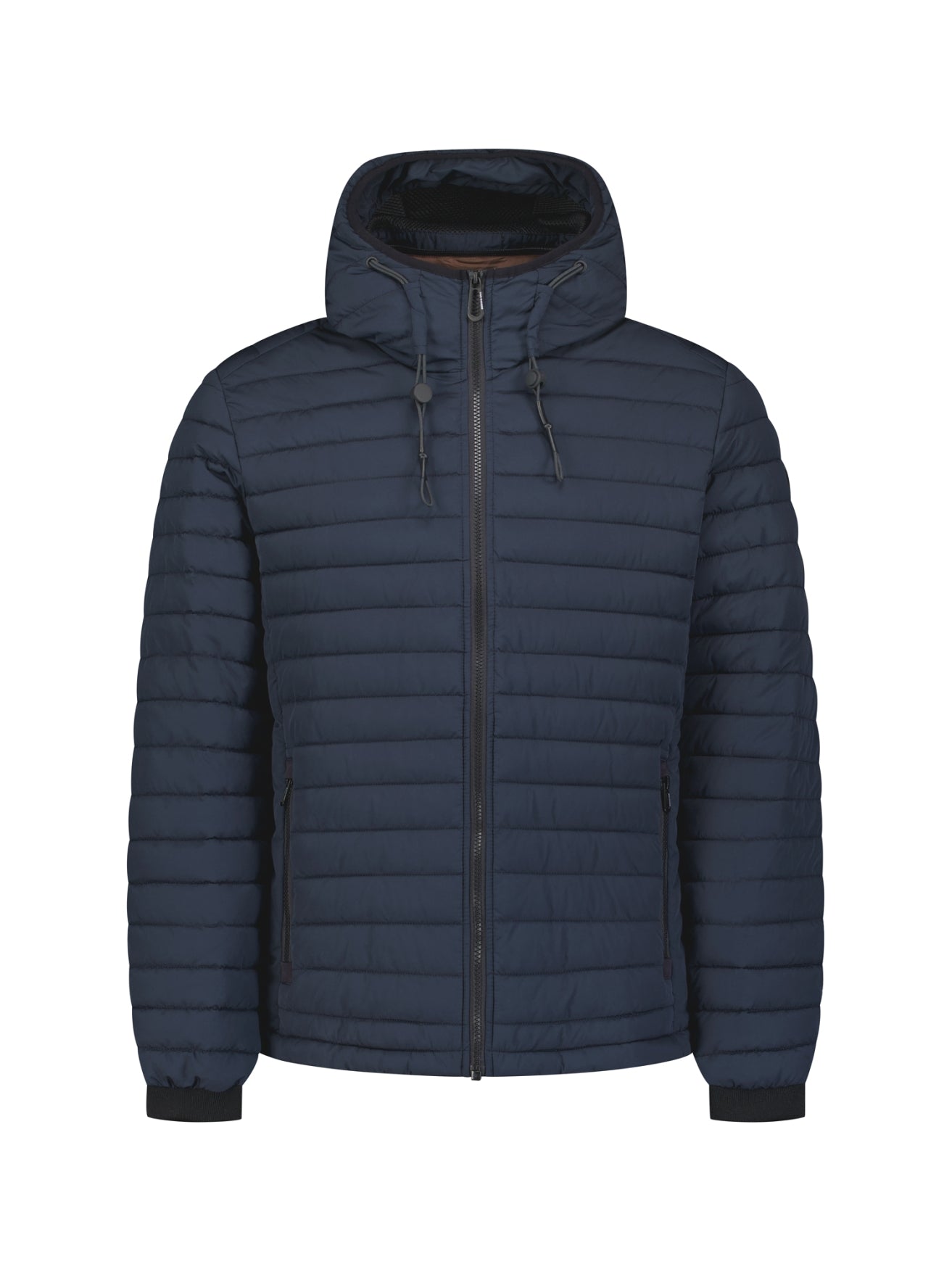 Gewatteerde Jas Met Capuchon | Night