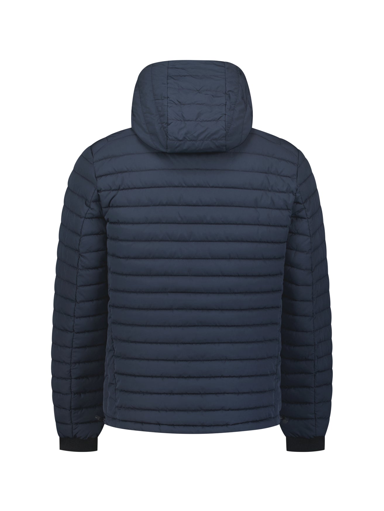 Gewatteerde Jas Met Capuchon | Night