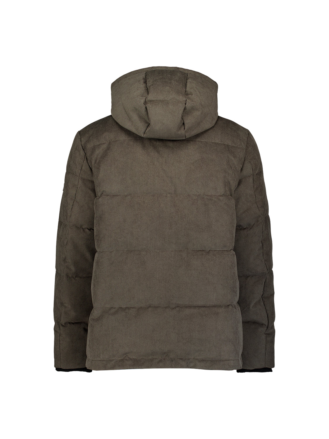 Corduroy-jas met capuchon | Army